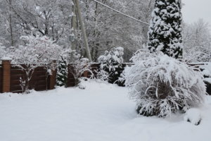 IMG_7063.JPG