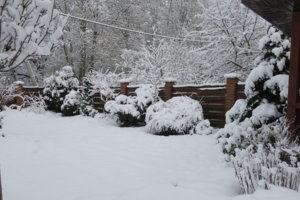 IMG_7068.JPG