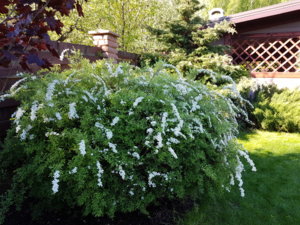 20170525_084017.jpg