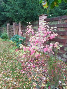 20171010_120358.jpg
