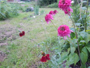 DSCN9903.JPG