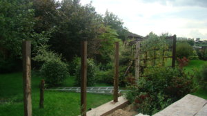 DSC02737.JPG