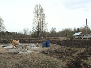 DSC02105.JPG
