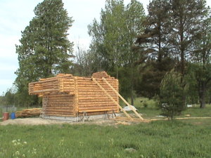 07.06.2008 003.jpg
