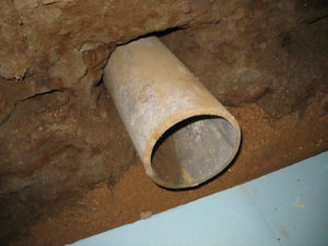 IMG_7637.jpg