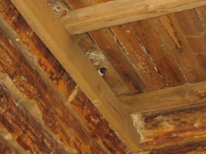 IMG_7636.jpg
