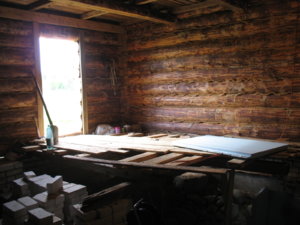 IMG_7689.jpg