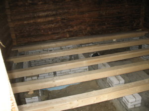 IMG_8018.jpg