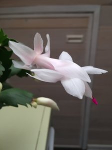IMG_9561.JPG