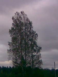 Фото008 (26-27.09.09).jpg