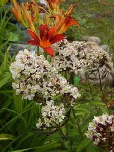 DSCN7834.JPG