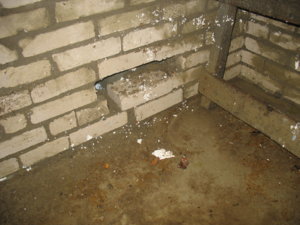 IMG_8572.jpg