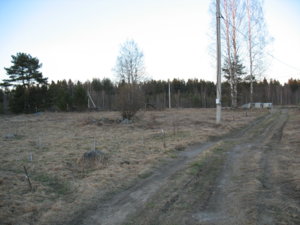 IMG_8682.jpg