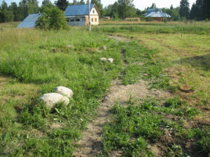 IMG_9583.jpg