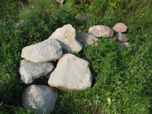 IMG_9585.jpg