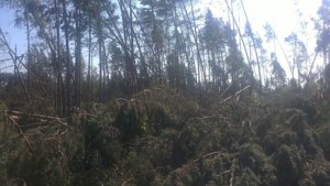 12082010079.JPG