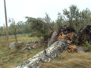 DSC02460.JPG