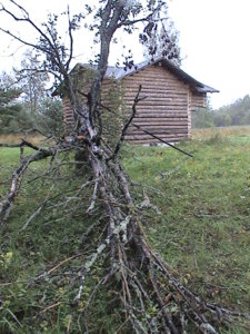 DSC02470.JPG