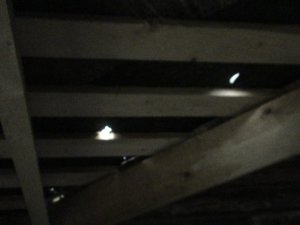DSC02479 (Small).JPG