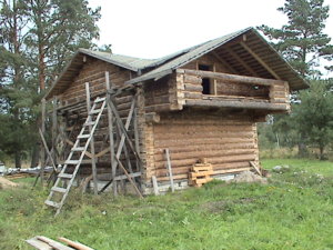 DSC02503.JPG