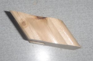 P9050078_cr (Small).jpg