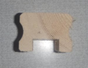 P9050083_cr (Small).jpg