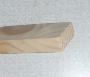P9050086_cr (Small).jpg