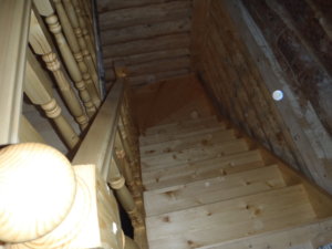 P9030301.JPG