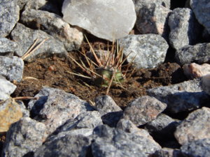 DSCN5727.JPG