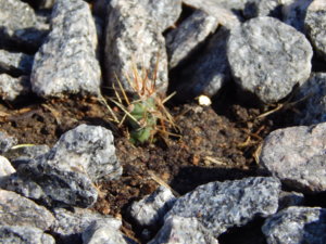 DSCN5728.JPG