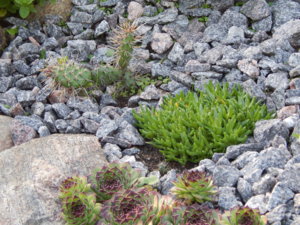 DSCN8443.JPG