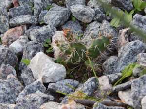 DSCN8444.JPG