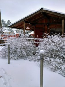 IMG_20181223_122003_HDR.jpg
