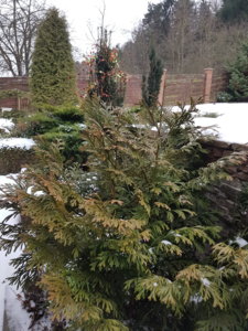 20181216_104701.jpg