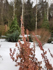 20181216_105718.jpg