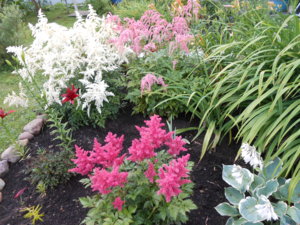 DSCN0914.JPG