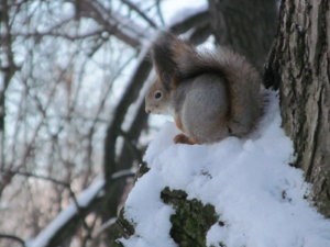 IMG_9157.JPG