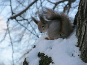 IMG_9159.JPG