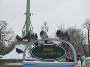 IMG_9156.JPG