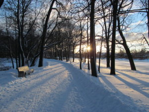 IMG_9166.JPG