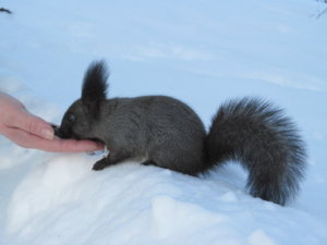 IMG_9176.JPG