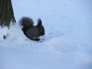IMG_9186.JPG