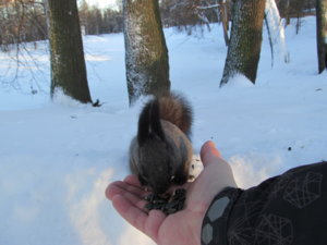 IMG_9192.JPG