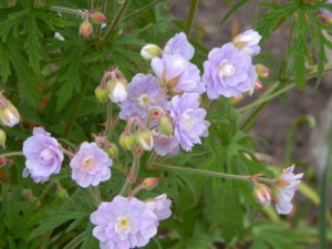 DSCN1891.JPG