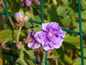 DSCN6269.JPG