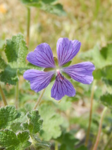 DSCN6098.JPG
