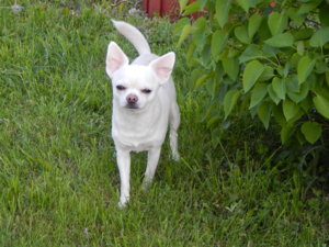 DSCN5035.JPG