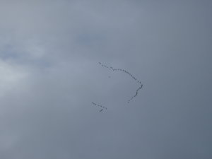 P9250081.JPG
