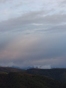 IMG_20180929_082552.jpg