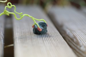 IMG_7030_.jpg